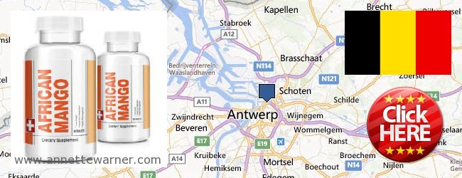 Purchase African Mango Extract Pills online Antwerp, Belgium
