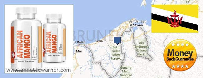 Best Place to Buy African Mango Extract Pills online Brunei