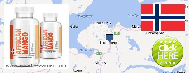 Purchase African Mango Extract Pills online Trondheim, Norway