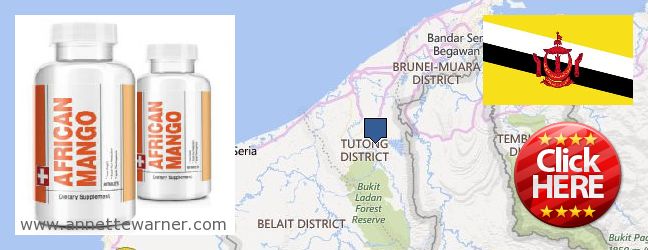 Where to Buy African Mango Extract Pills online Tutong, Brunei