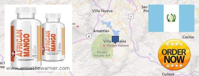 Where to Purchase African Mango Extract Pills online Villa Canales, Guatemala