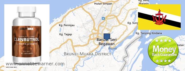 Where to Buy Clenbuterol Steroids online Bandar Seri Begawan, Brunei