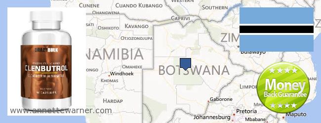 Where to Buy Clenbuterol Steroids online Botswana