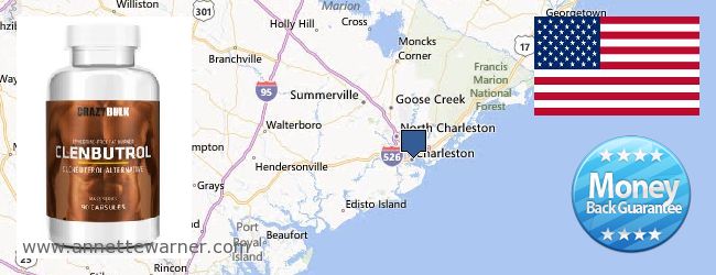 Where to Purchase Clenbuterol Steroids online Charleston SC, United States