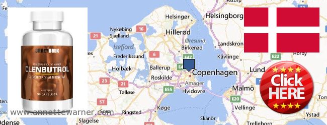 Where Can You Buy Clenbuterol Steroids online Copenhagen, Denmark