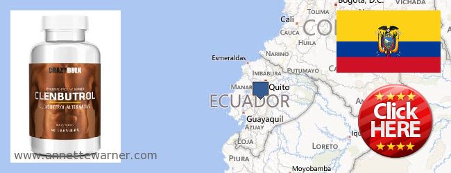 Where to Buy Clenbuterol Steroids online Ecuador
