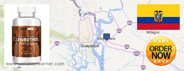 Where to Buy Clenbuterol Steroids online Eloy Alfaro, Ecuador