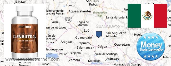 Where to Buy Clenbuterol Steroids online Guanajuato, Mexico