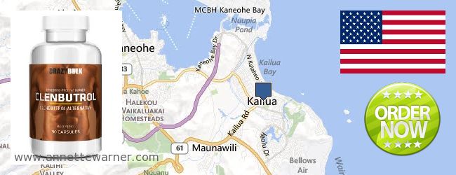 Where to Purchase Clenbuterol Steroids online Kailua HI, United States