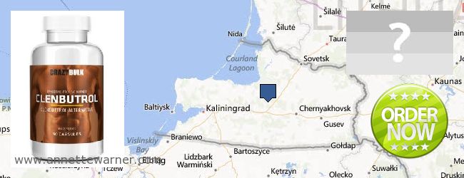 Where to Buy Clenbuterol Steroids online Kaliningradskaya oblast, Russia