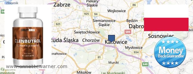 Where to Buy Clenbuterol Steroids online Katowice, Poland