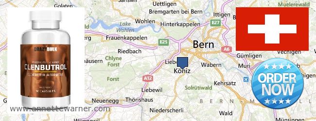 Where to Buy Clenbuterol Steroids online Köniz, Switzerland