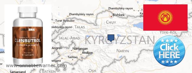 Purchase Clenbuterol Steroids online Kyrgyzstan