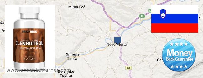 Where to Buy Clenbuterol Steroids online Novo Mesto, Slovenia