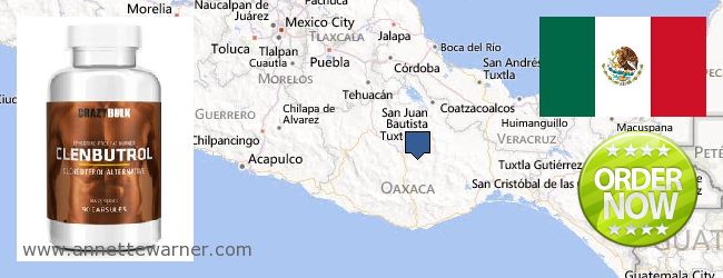 Where to Buy Clenbuterol Steroids online Oaxaca, Mexico