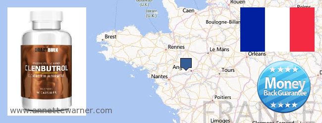 Where to Buy Clenbuterol Steroids online Pays de la Loire, France