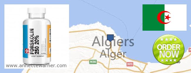 Buy Forskolin Extract online Algiers, Algeria