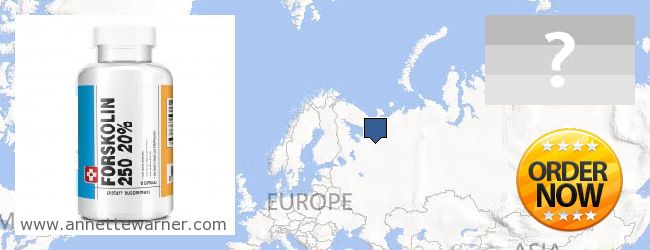 Where to Purchase Forskolin Extract online Arkhangel'skaya oblast, Russia