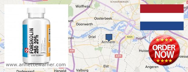 Where to Buy Forskolin Extract online Arnhem, Netherlands