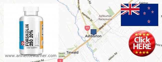 Where to Buy Forskolin Extract online Ashburton, New Zealand