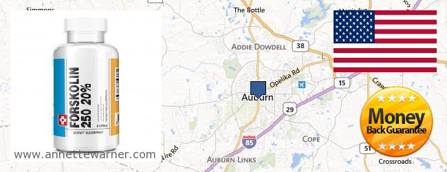 Where Can I Buy Forskolin Extract online Auburn AL, United States