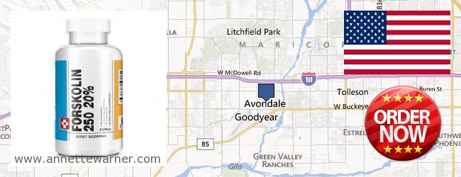Where to Buy Forskolin Extract online Avondale AZ, United States
