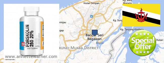 Purchase Forskolin Extract online Bandar Seri Begawan, Brunei