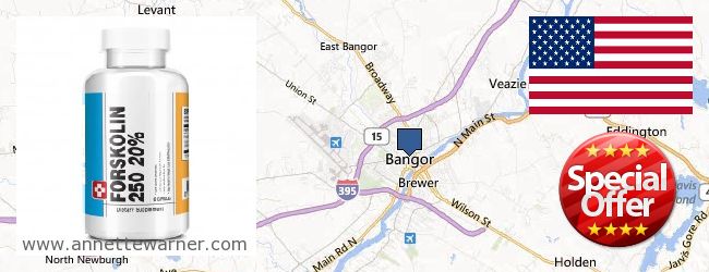 Purchase Forskolin Extract online Bangor ME, United States