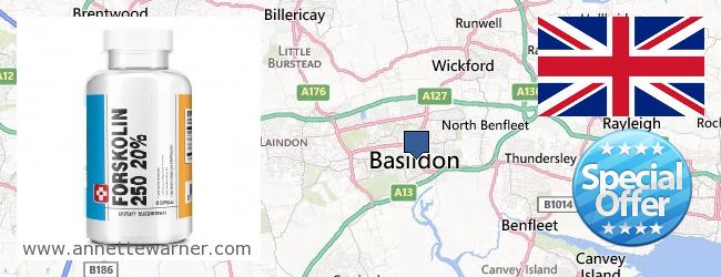 Purchase Forskolin Extract online Basildon, United Kingdom
