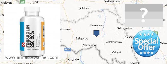 Purchase Forskolin Extract online Belgorodskaya oblast, Russia