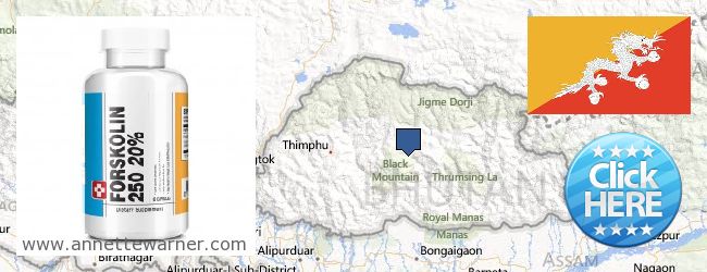 Where to Buy Forskolin Extract online Bhutan