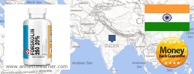 Where to Buy Forskolin Extract online Bihār BIH, India