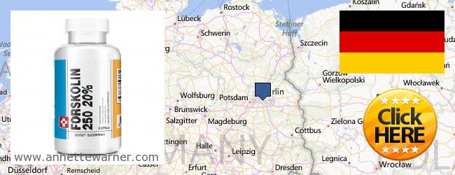 Buy Forskolin Extract online Brandenburg, Germany