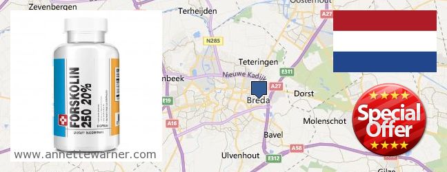 Buy Forskolin Extract online Breda, Netherlands