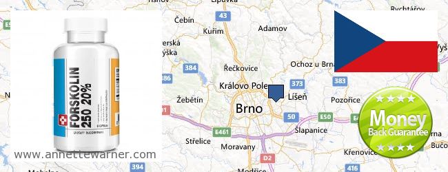 Buy Forskolin Extract online Brno, Czech Republic