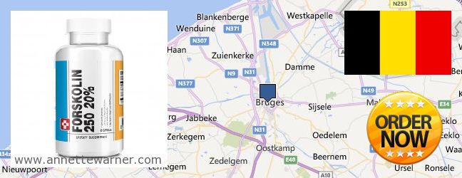 Where to Buy Forskolin Extract online Brugge, Belgium