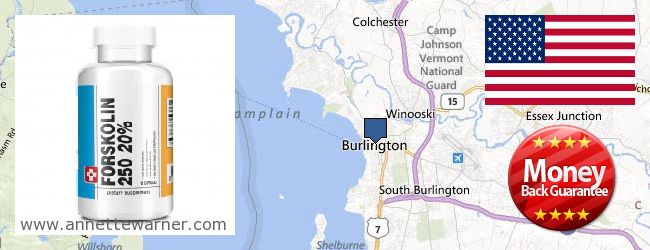 Where to Buy Forskolin Extract online Burlington VT, United States