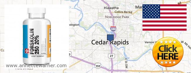 Buy Forskolin Extract online Cedar Rapids IA, United States