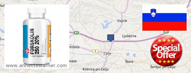 Where Can I Purchase Forskolin Extract online Celje, Slovenia