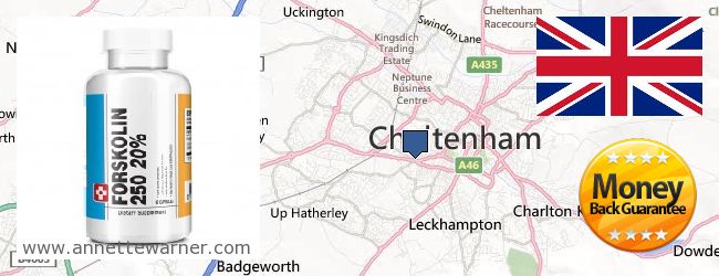 Where to Buy Forskolin Extract online Cheltenham, United Kingdom