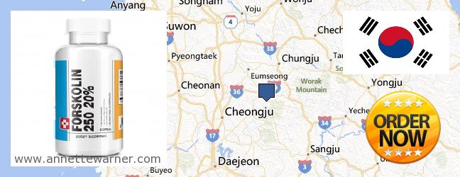 Where Can I Buy Forskolin Extract online Chungcheongbuk-do (Ch'ungch'ŏngpuk-do) [North Chungcheong] 충청북, South Korea