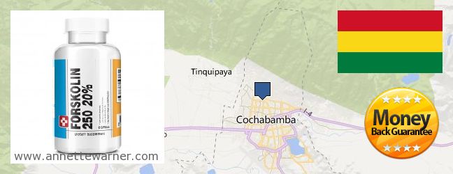 Where to Buy Forskolin Extract online Cochabamba, Bolivia