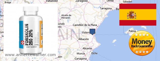Purchase Forskolin Extract online Comunitat Valenciana, Spain