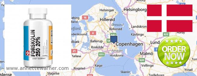 Buy Forskolin Extract online Copenhagen, Denmark