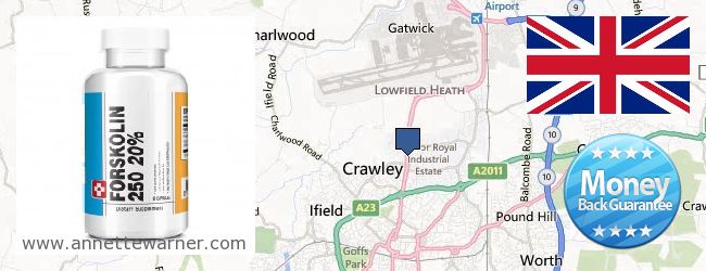 Buy Forskolin Extract online Crawley, United Kingdom
