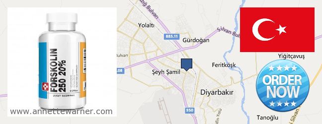 Where to Buy Forskolin Extract online Diyarbakir, Turkey