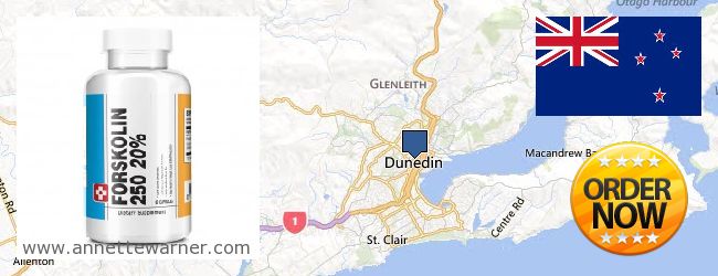 Where to Buy Forskolin Extract online Dunedin, New Zealand