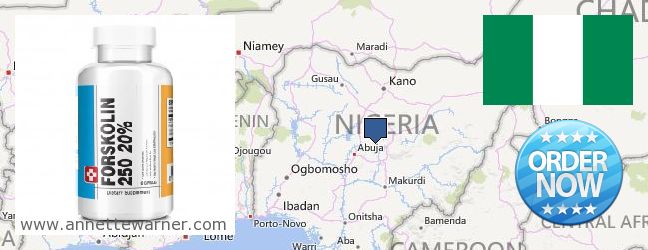 Where to Buy Forskolin Extract online Ebute Ikorodu, Nigeria