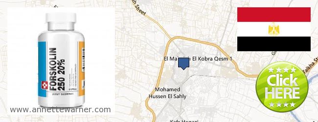 Where to Buy Forskolin Extract online El-Mahalla El-Kubra, Egypt