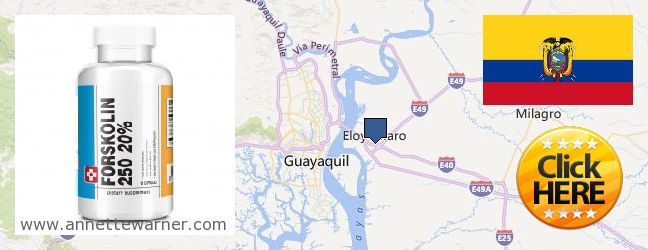 Where Can I Purchase Forskolin Extract online Eloy Alfaro, Ecuador